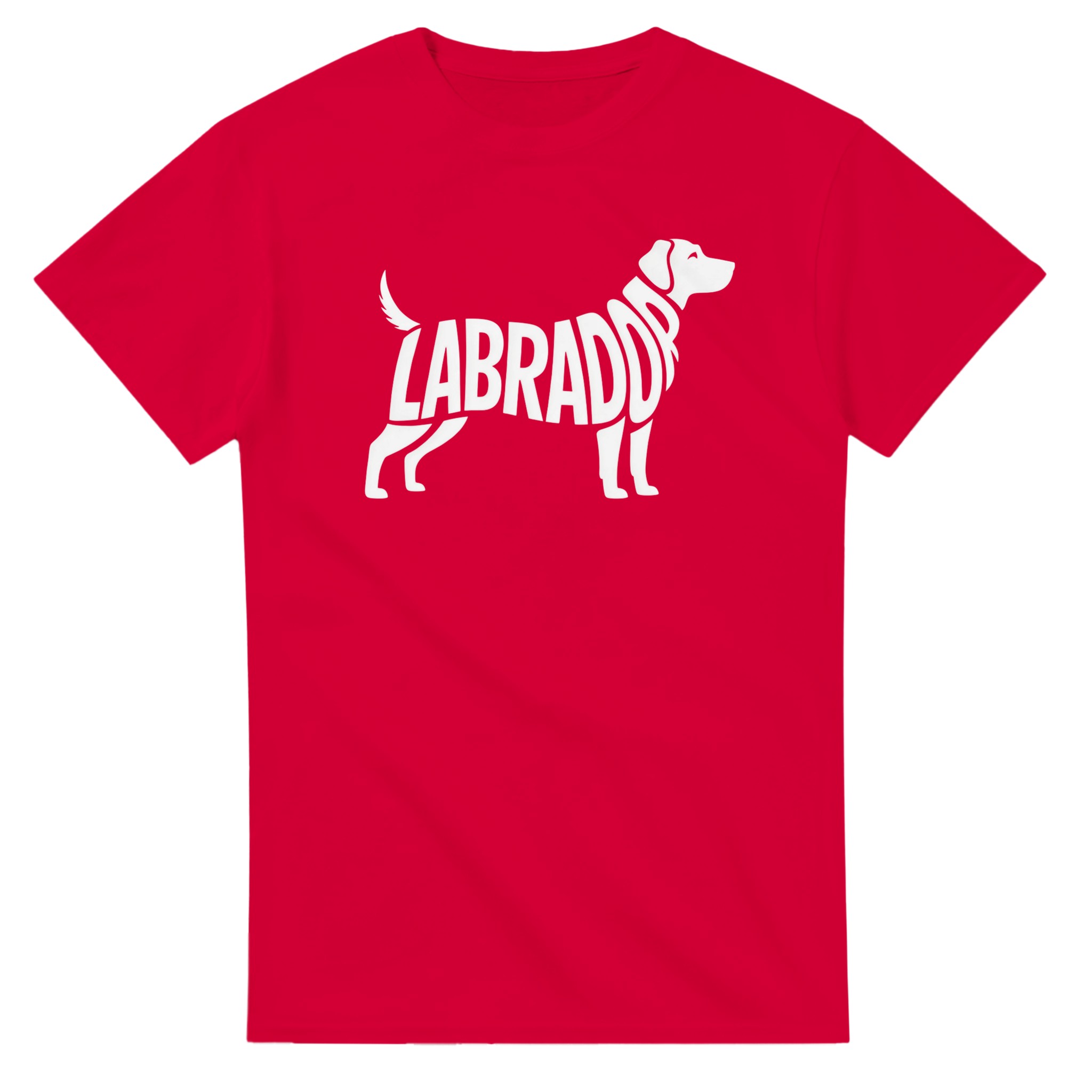 aa21971e-badb-496e-8803-e5d2d6b92b30